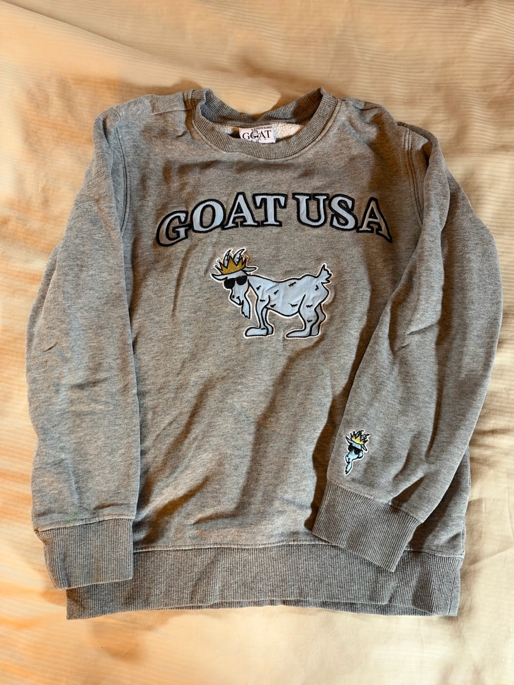 GOAT USA Kids' Gray Graphic Sweatshirt